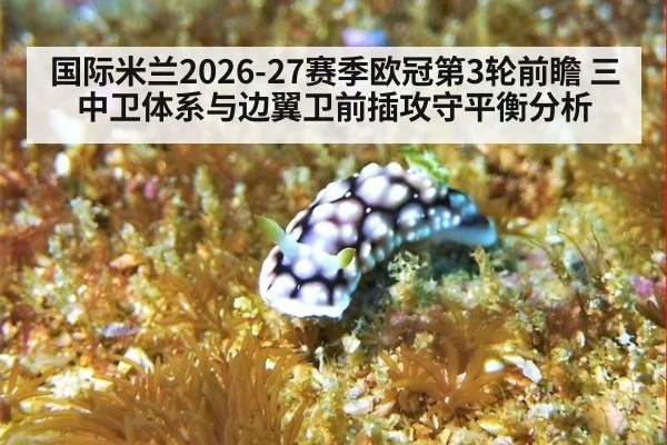 国际米兰2026-27赛季欧冠第3轮前瞻 三中卫体系与边翼卫前插攻守平衡分析